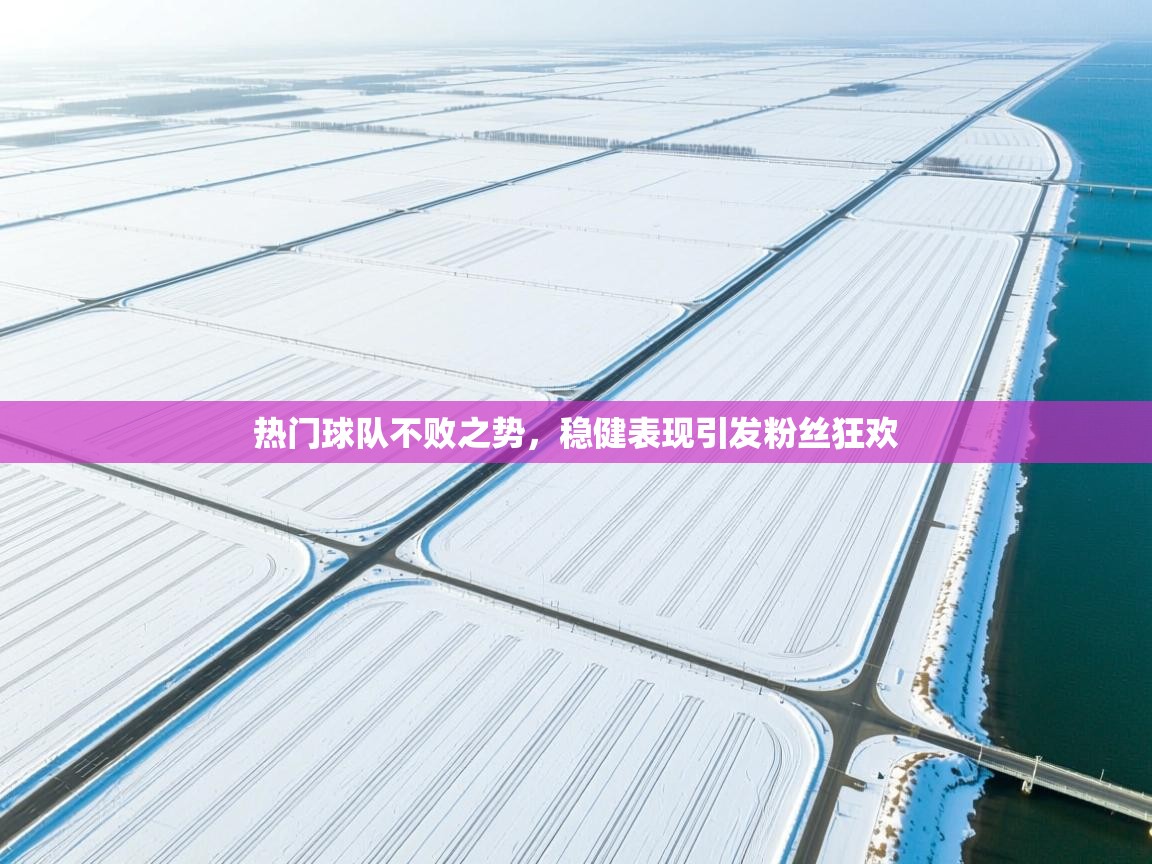 热门球队不败之势,稳健表现引发粉丝狂欢 第2张