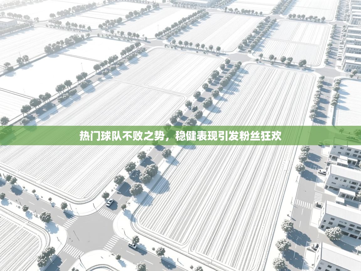 热门球队不败之势,稳健表现引发粉丝狂欢 第1张