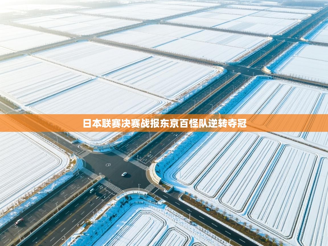 日本联赛决赛战报东京百怪队逆转夺冠  第2张